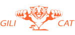 Gilicat Fast Boat